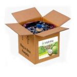Aseptic coconut milk - Image 3