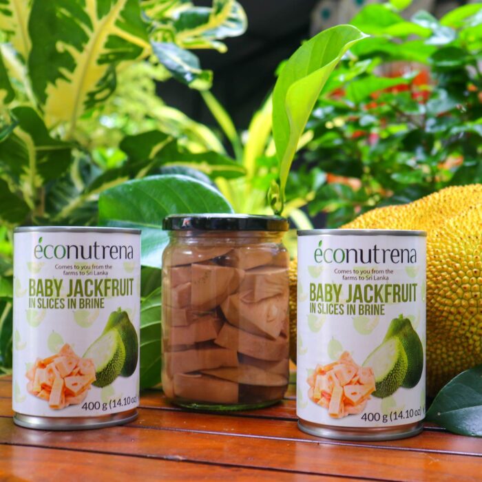 ECONUTRENA JACK FRUIT PRODUCTS - Image 1