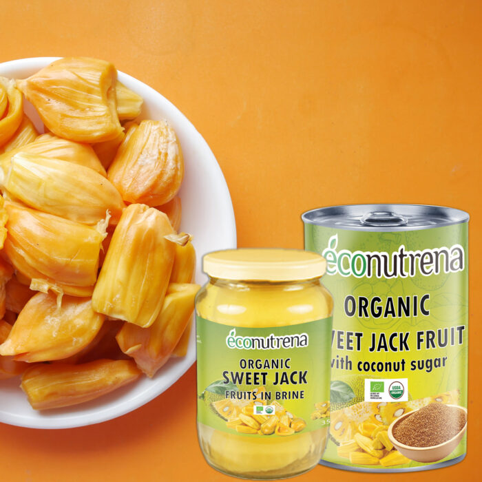 ECONUTRENA SWEET JACKFRUIT - Image 1