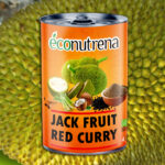 ECONUTRENA JACK FRUIT PRODUCTS - Image 6
