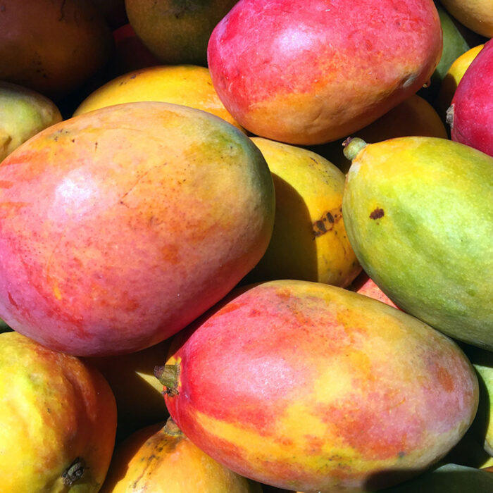 ECONUTRENA MANGO FRUITS - Image 4