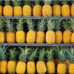 ECONUTRENA PINEAPPLE FRUITS - Image 3
