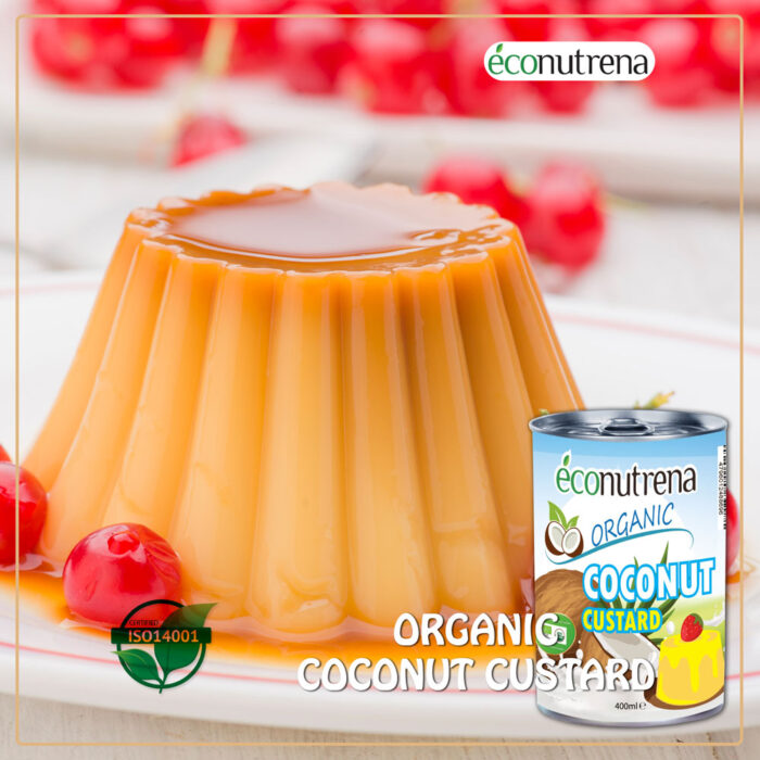 Coconut Custard - Image 2